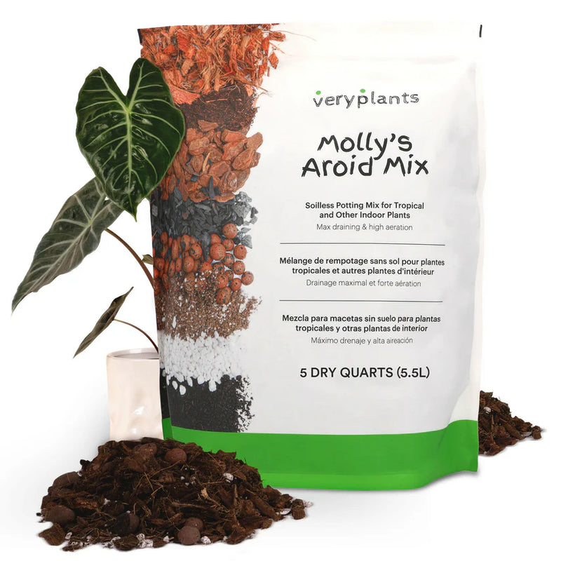 Molly&