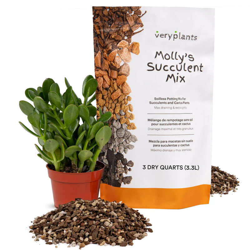 Molly&