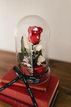 Rose Éternelle