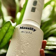 Vaporisateur - Mossify