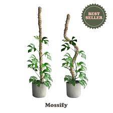 Poteau Pliable - Mossify