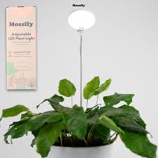 Lampe de LED - Mossify