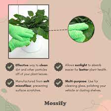 Gloves - Mossify