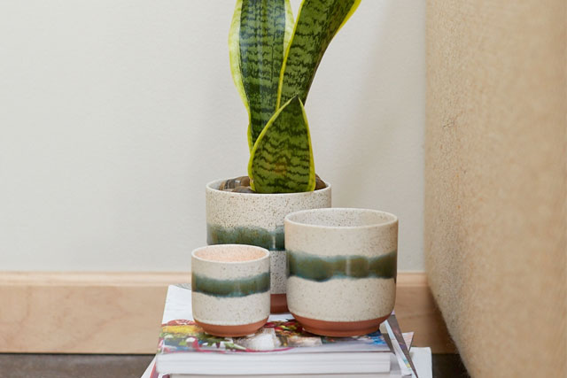 home deco plant pot