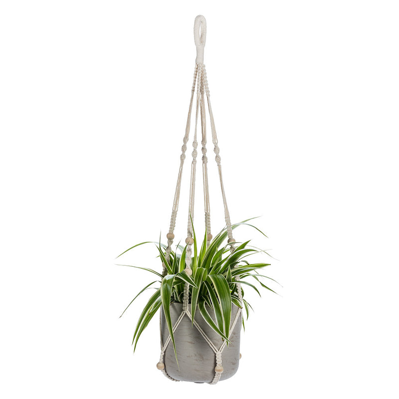 Art et Fleurs has all of the gardening and flower arrangement accessories chosen by professional floriste