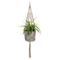 Art et Fleurs has all of the gardening and flower arrangement accessories chosen by professional floriste