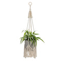 Art et Fleurs has all of the gardening and flower arrangement accessories chosen by professional floriste