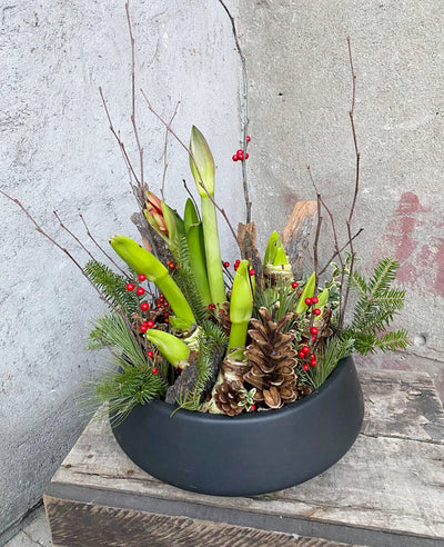 Jardin d'Amaryllis chosen by professional montreal floriste