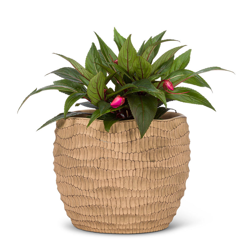 Home deco flower and plant pot