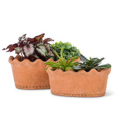 home deco flower and plant pot