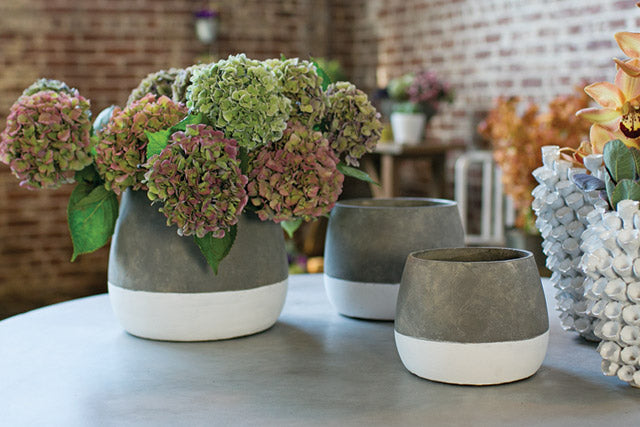 Home deco flower and plant pot