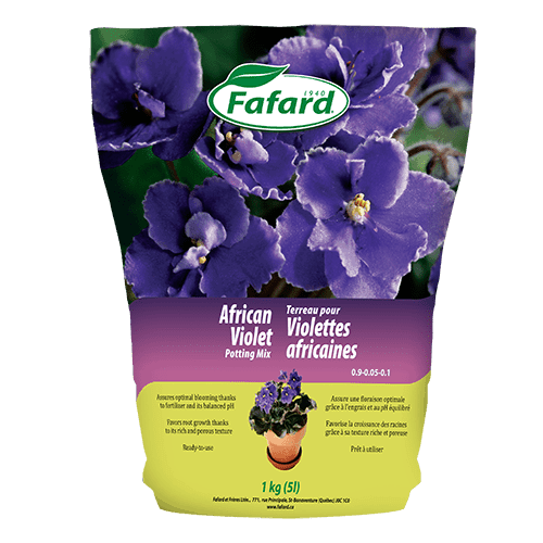 floriste