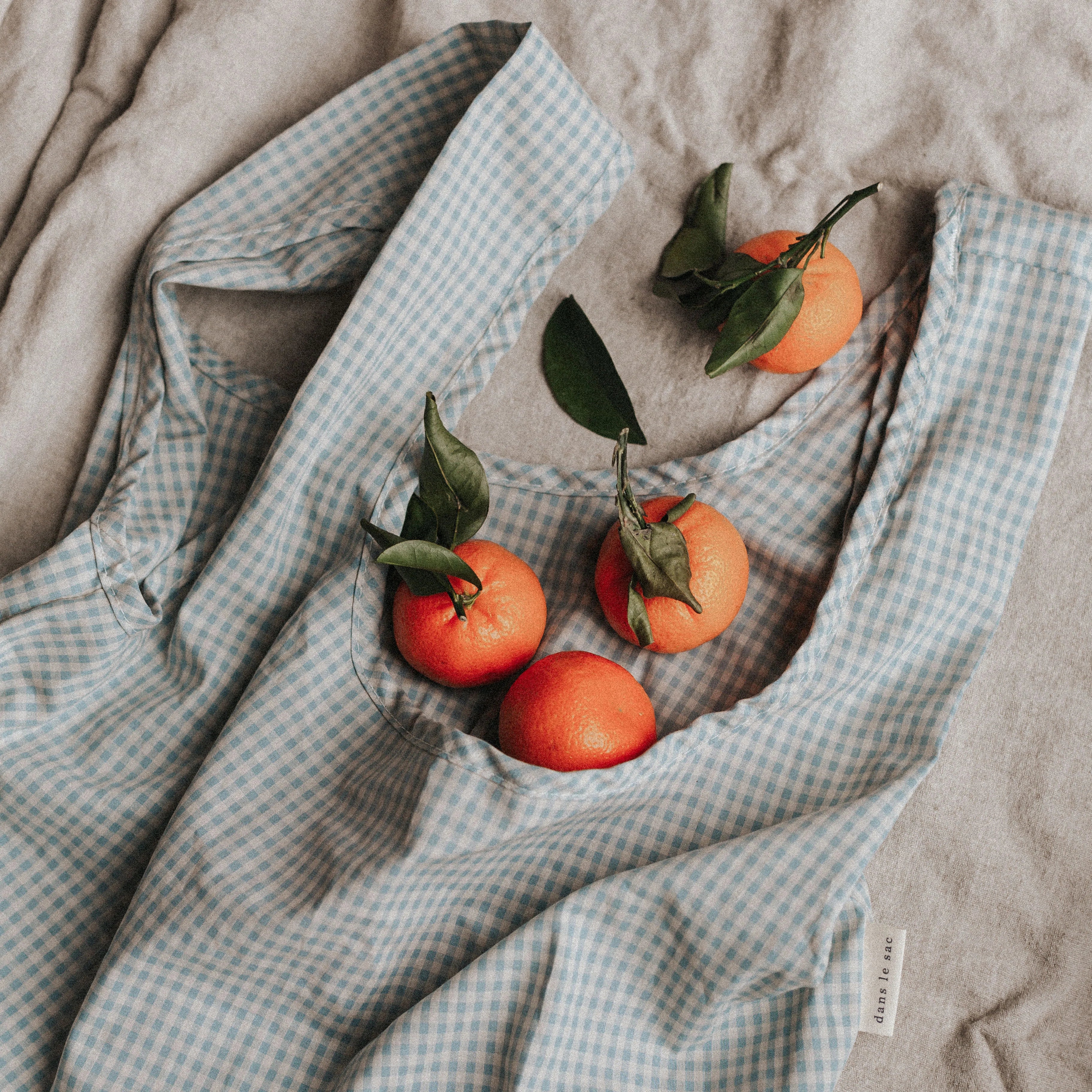In the Bag - Grocery Bag with Pouch